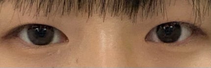 ReVIA 1day/ReVIA/ワンデー(1DAY)カラコンを使ったクチコミ(3枚目)