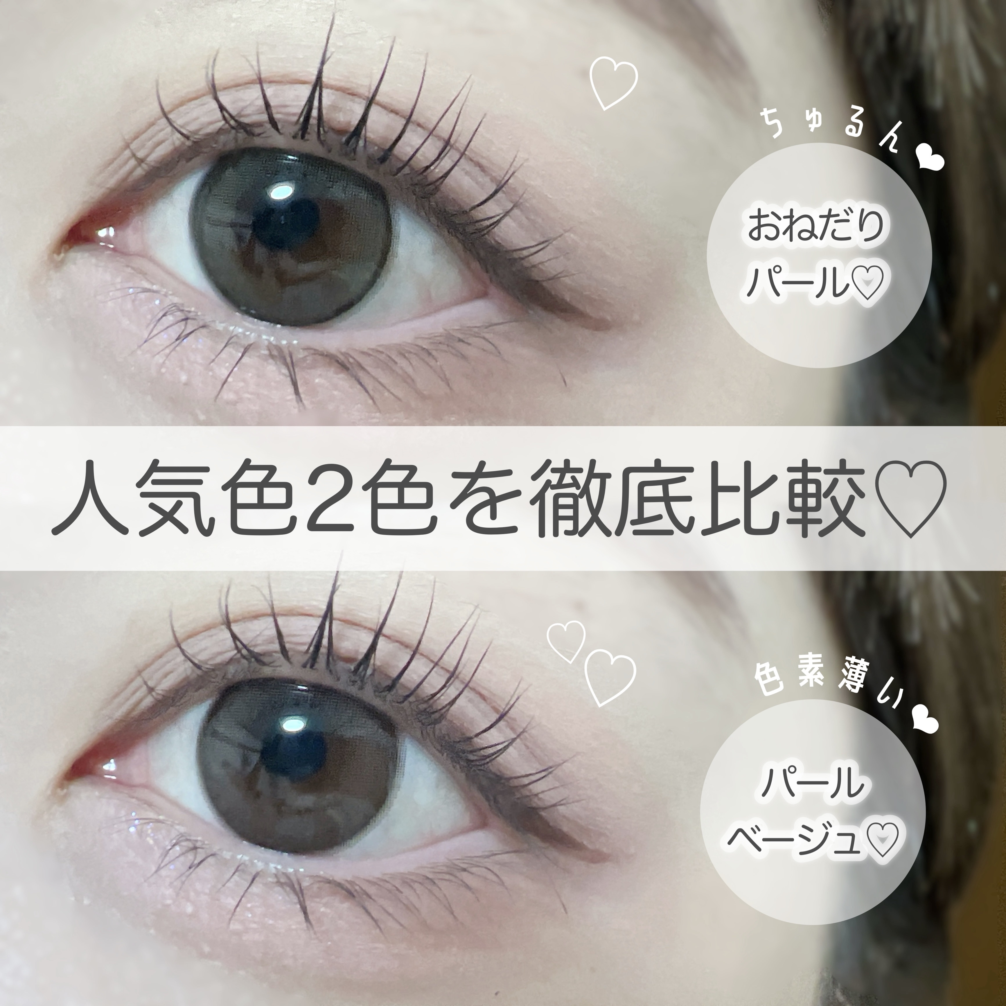 エバーカラーワンデー ナチュラル/エバーカラー/ワンデー（１DAY）カラコンを使ったクチコミ（1枚目）