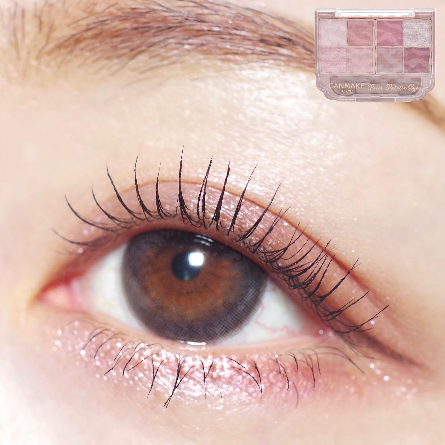 プティパレットアイズ/キャンメイク/パウダーアイシャドウを使ったクチコミ（1枚目）