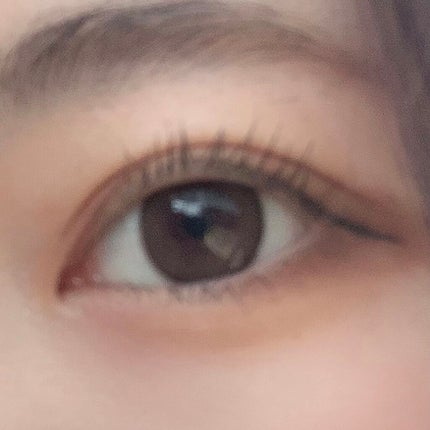 エバーカラーワンデー ナチュラル/エバーカラー/ワンデー(1DAY)カラコンを使ったクチコミ(1枚目)