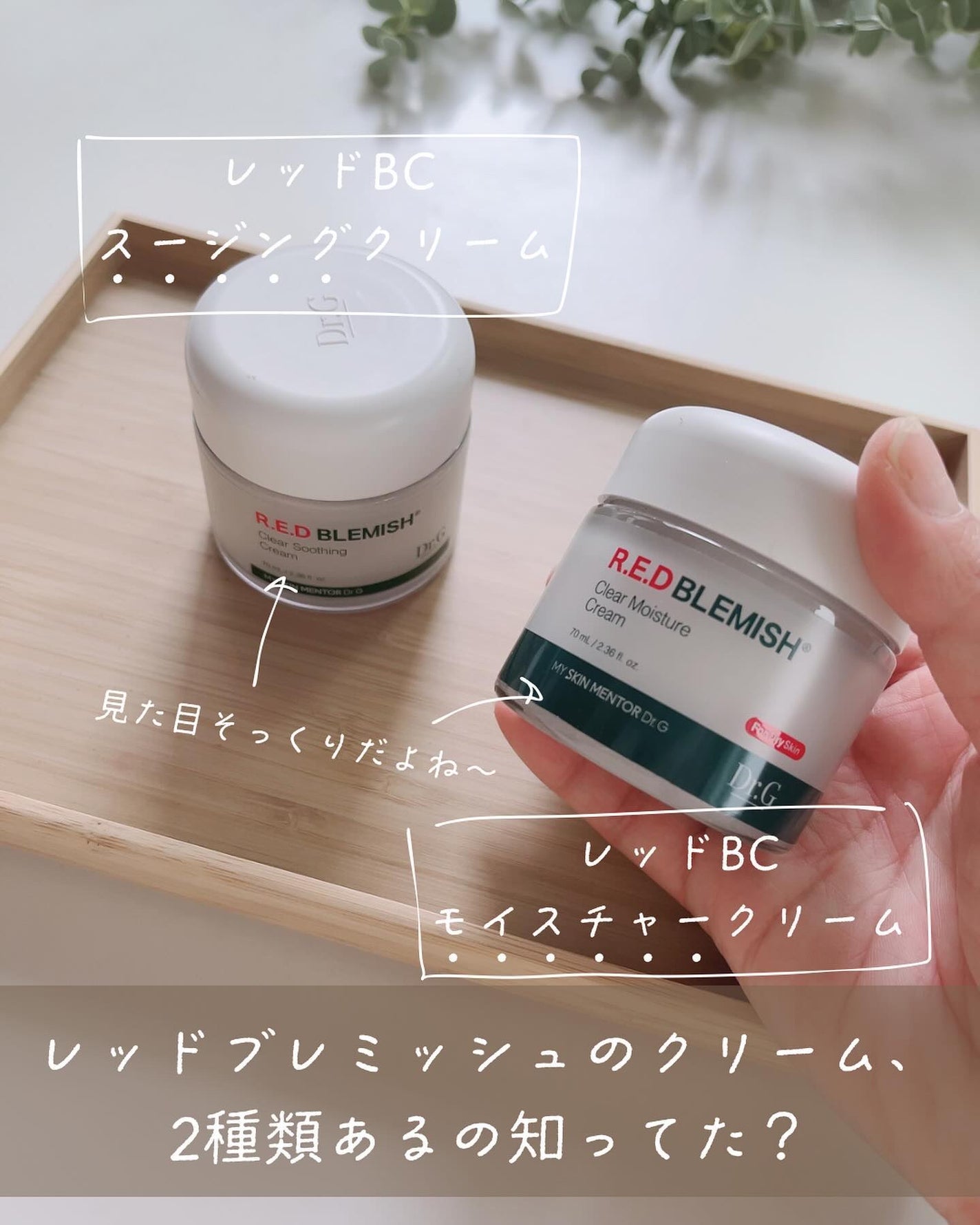 レッドブレミッシュ クリアスージングクリーム/Dr.G/フェイスクリームを使ったクチコミ(2枚目)