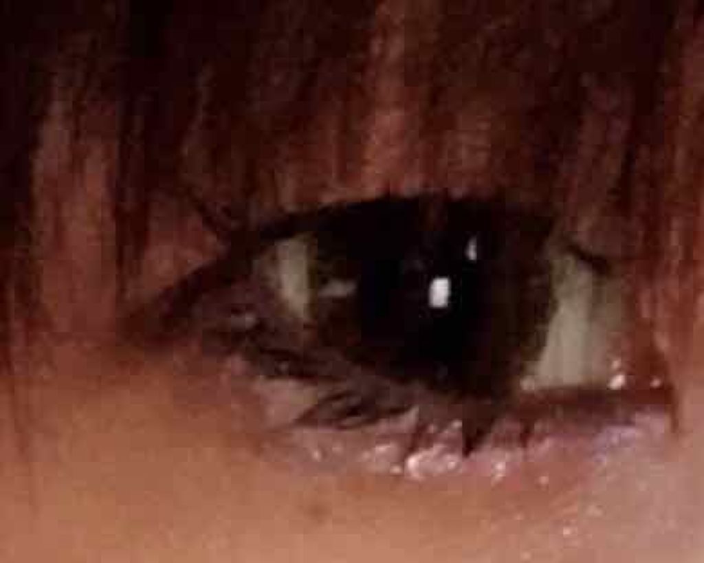 アイシャドウベース/excel/アイシャドウベースを使ったクチコミ(1枚目)