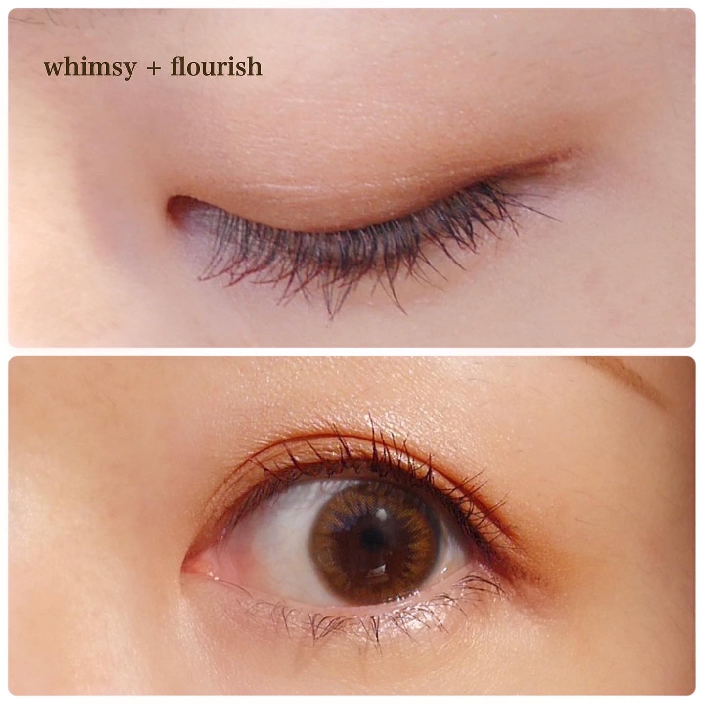 タルトレット E アマゾニアンクレイ パレット/tarte/アイシャドウパレットを使ったクチコミ(3枚目)