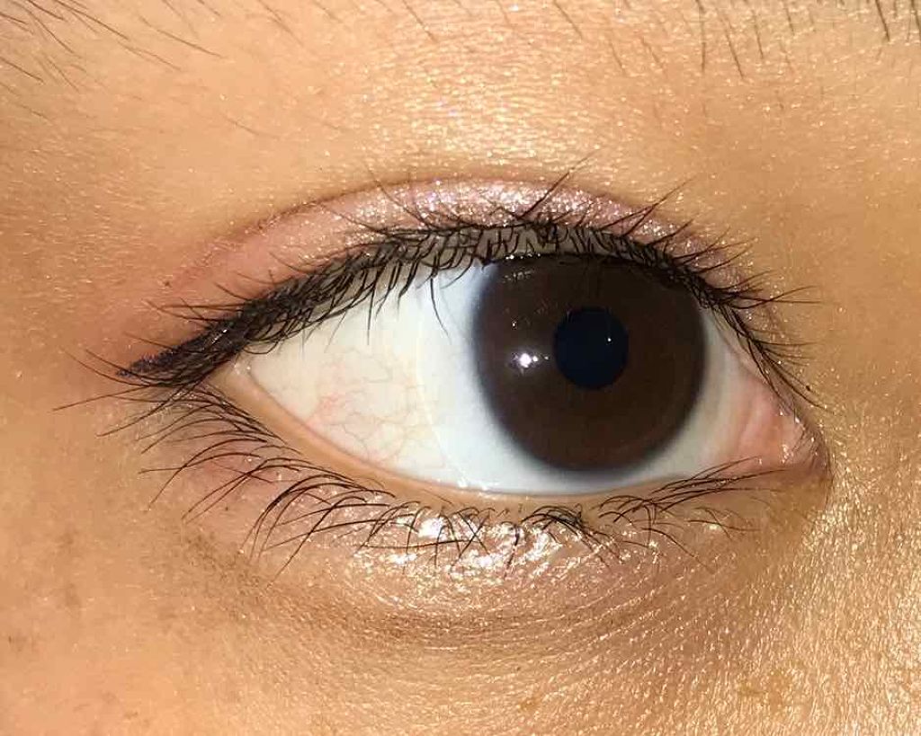 シングルカラーアイシャドウ/CEZANNE/単色アイシャドウを使ったクチコミ（1枚目）