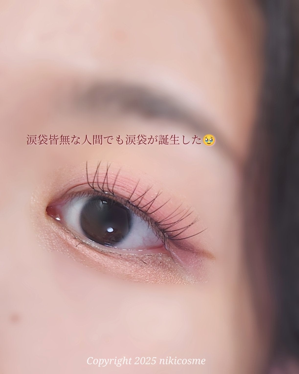 ぷくぷく涙袋パレット/MilleFée/アイシャドウパレットを使ったクチコミ(4枚目)