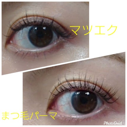 エグータム/アルマダスタイル/まつげ美容液を使ったクチコミ(1枚目)