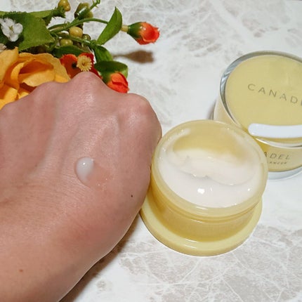 カナデル プレミアバランサー /CANADEL/オールインワン化粧品を使ったクチコミ(4枚目)