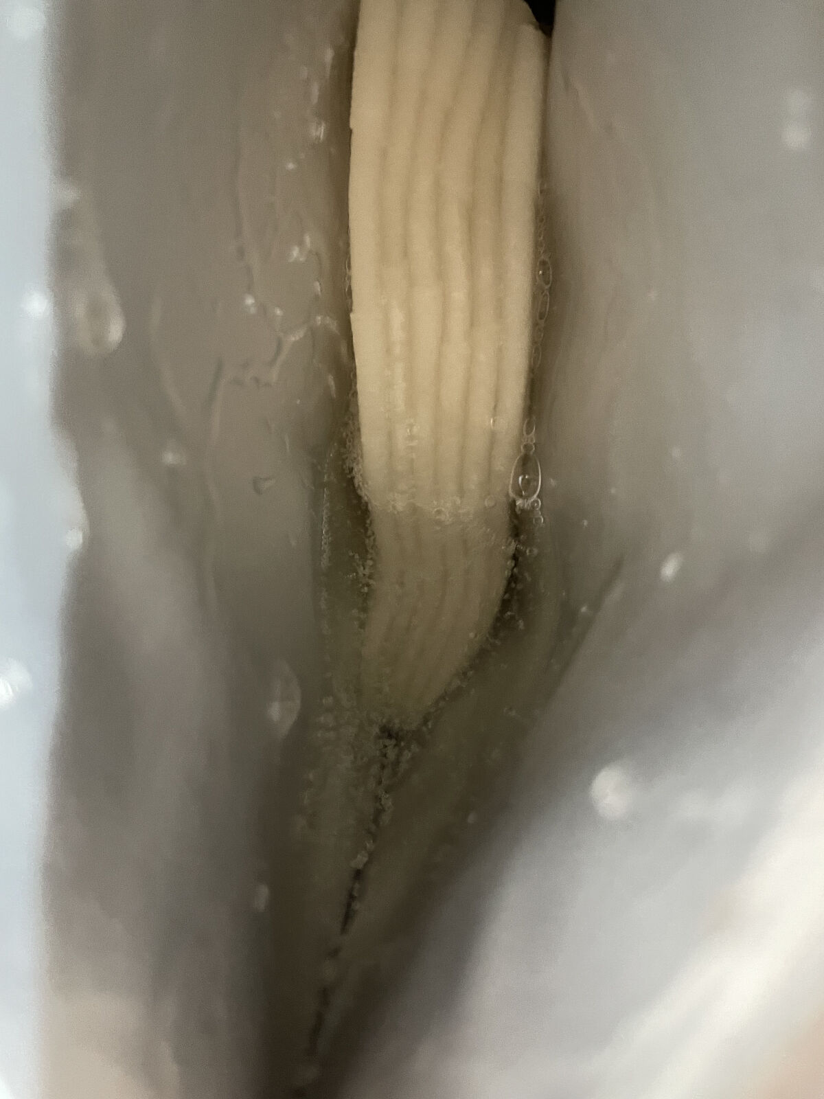 ダーマレーザースーパーVC100マスク/クオリティファースト/シートマスク・パックを使ったクチコミ（2枚目）