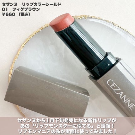 リップカラーシールド/CEZANNE/口紅を使ったクチコミ(2枚目)