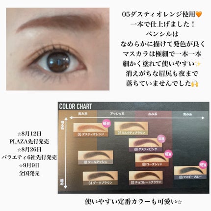 ブロウインク カラーティントデュオ/MAYBELLINE NEW YORK/眉ティントを使ったクチコミ(3枚目)