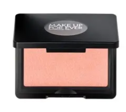 MAKE UP FOR EVER アーティスト ブラッシュ