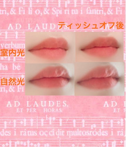 デュー ベルベット 02アプリコット/AMUSE/口紅を使ったクチコミ(2枚目)