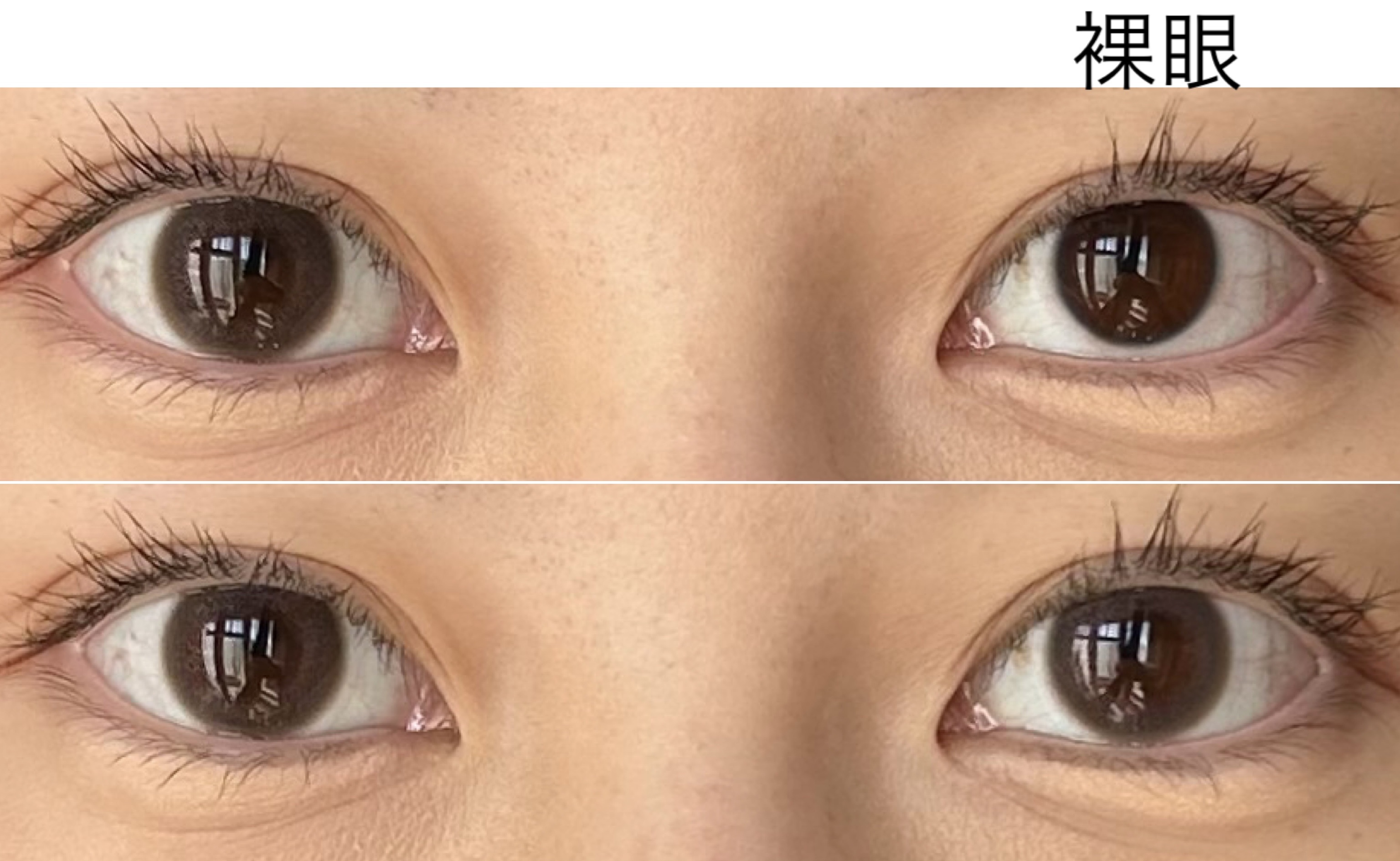 フェアリー ワンデー シマーリングシリーズ LavenderNude（ラベンダーヌード）/FAIRY/ワンデー（１DAY）カラコンを使ったクチコミ（2枚目）