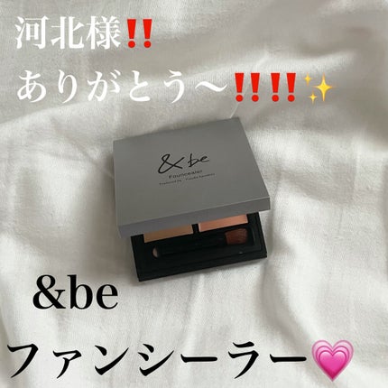 &be ファンシーラー/&be/パレットコンシーラーを使ったクチコミ(1枚目)