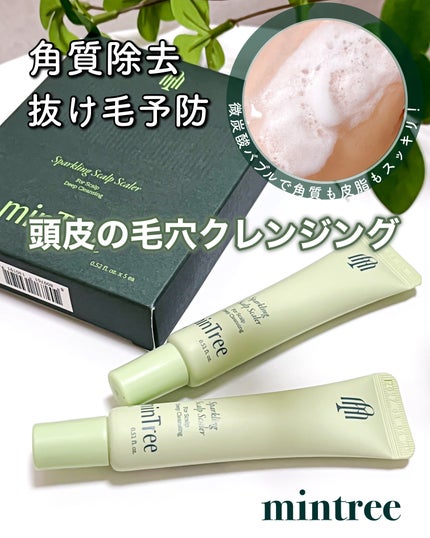 ミンツリー スパークリングスカルプスケーラーのクチコミ「mintree スパークリングスカルプスケーラー
🛁 頭皮の角質除去・抜け毛悩みに。
頭皮.....」(1枚目)