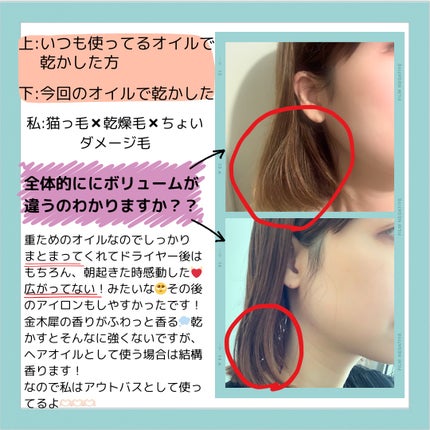 碧 モイストオイル〈金木犀〉/碧(ao)/アウトバストリートメントを使ったクチコミ(4枚目)