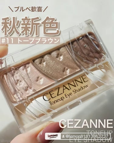 トーンアップアイシャドウ/CEZANNE/アイシャドウパレットを使ったクチコミ（7枚目）