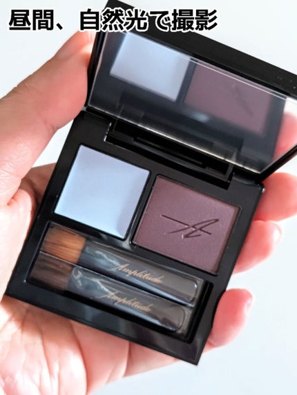 コンスピキュアス ダブルアイズ/Amplitude/アイシャドウパレットを使ったクチコミ(2枚目)