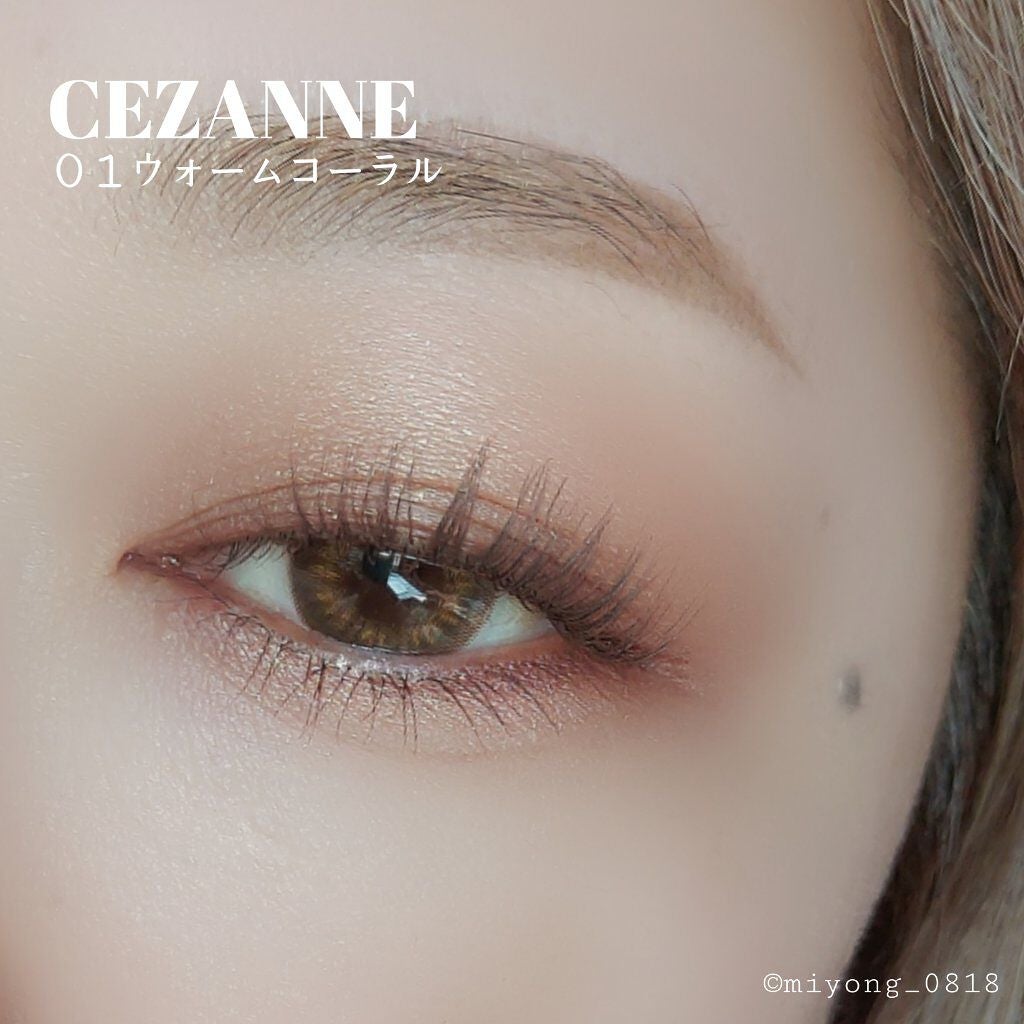 ニュアンスオンアイシャドウ/CEZANNE/アイシャドウパレットを使ったクチコミ(7枚目)