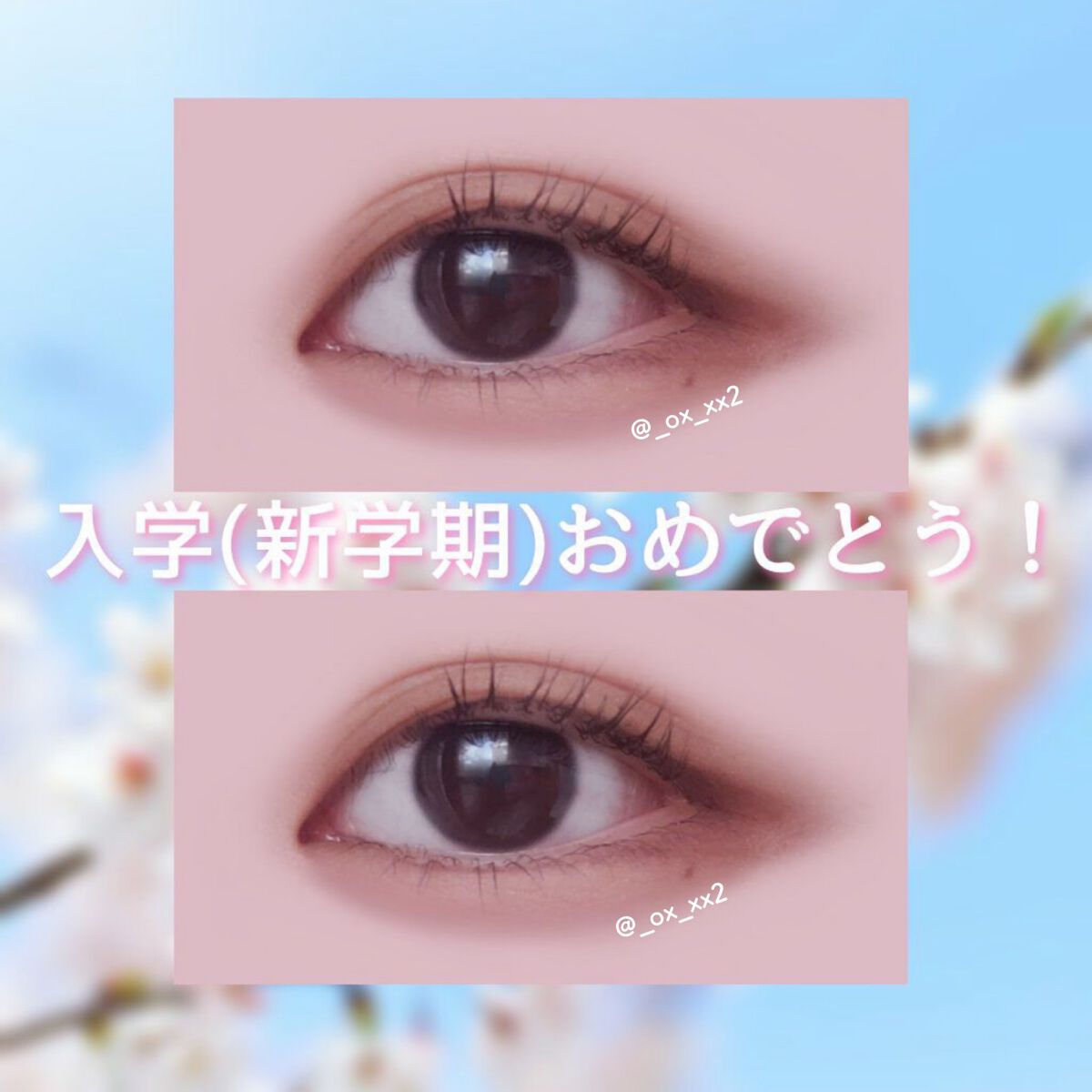 パーフェクトマルチアイズ/キャンメイク/アイシャドウパレットを使ったクチコミ（3枚目）