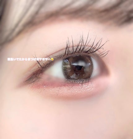 マランマラン ワンデー プランプブラウン/malun malun/ワンデー(1DAY)カラコンの画像