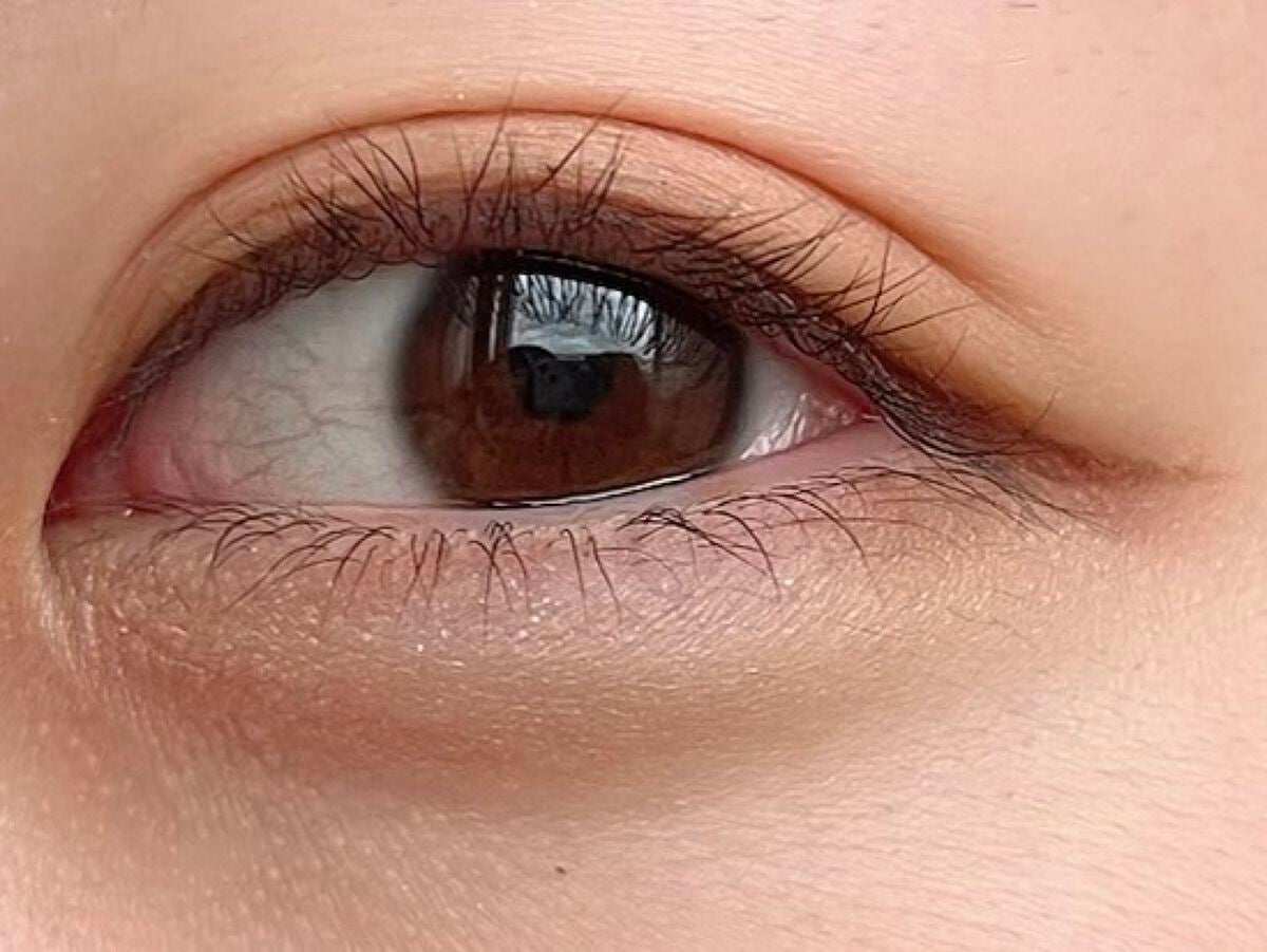 プランぷくコーデアイズ/キャンメイク/パウダーアイシャドウを使ったクチコミ(4枚目)