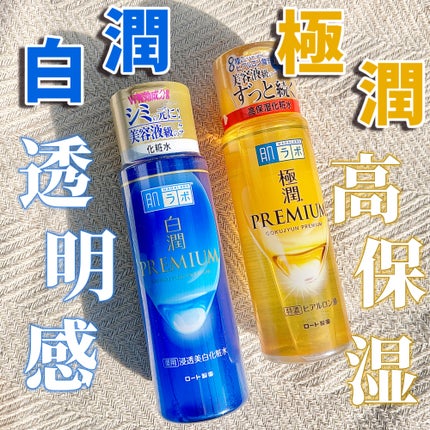 極潤プレミアムヒアルロン液(ハダラボスーパーモイスト化粧水c)/肌ラボ/化粧水を使ったクチコミ(1枚目)