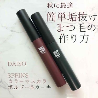 WHY NOT SPINNS マスカラ カーキ/DAISO/マスカラを使ったクチコミ（1枚目）