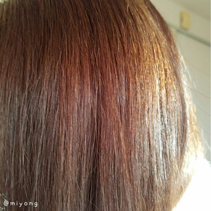 ヴィーナス ビューティーコンパクトブラシ/PARSA/ヘアブラシを使ったクチコミ(5枚目)