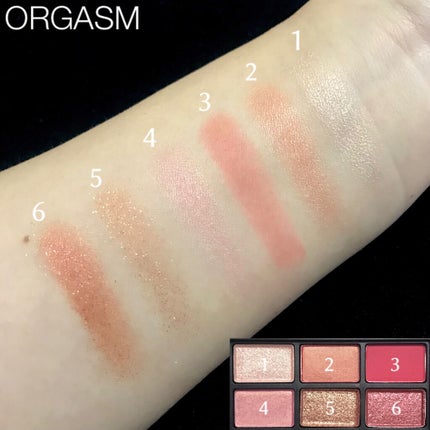 アンラップド ミニアイシャドーパレット ORGASM /NARS/アイシャドウパレットを使ったクチコミ(5枚目)
