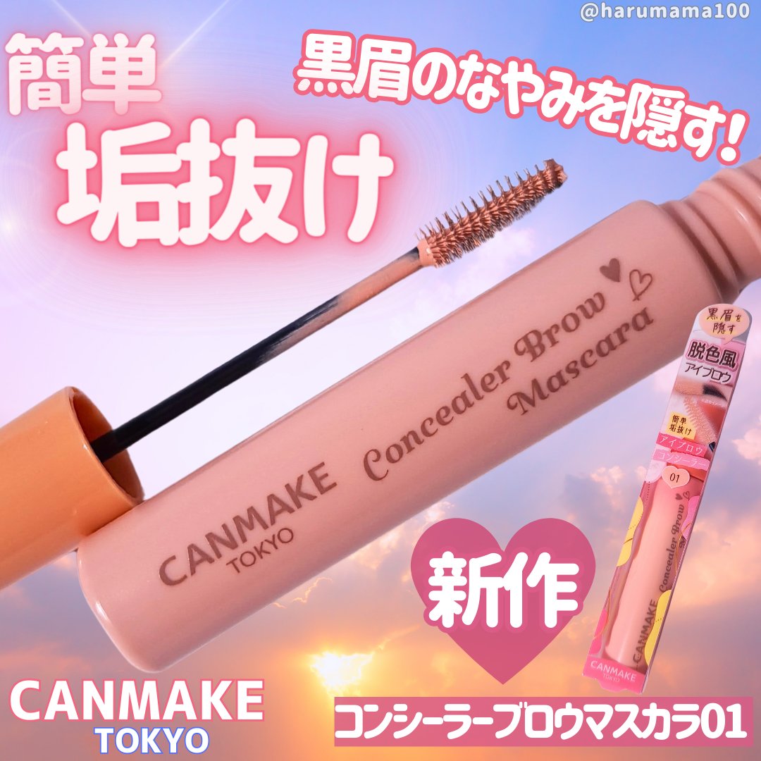 コンシーラーブロウマスカラ/キャンメイク/その他アイブロウを使ったクチコミ（1枚目）