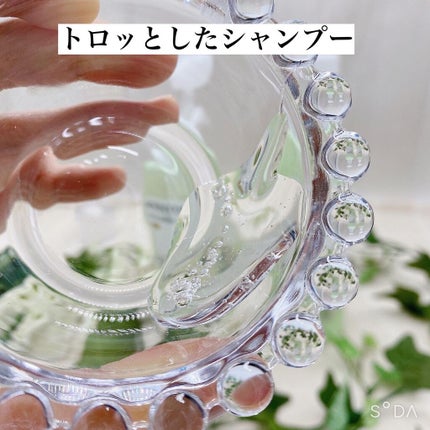 PRO-V ミセラー ピュア&モイスト ノンシリコンシャンプー/トリートメント/パンテーン/市販シャンプーを使ったクチコミ(2枚目)