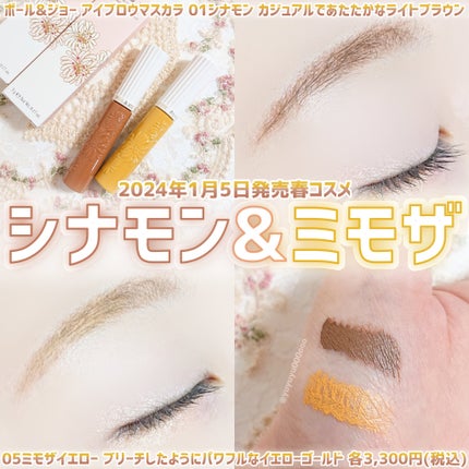 アイブロウ マスカラ/PAUL & JOE BEAUTE/眉マスカラを使ったクチコミ(1枚目)