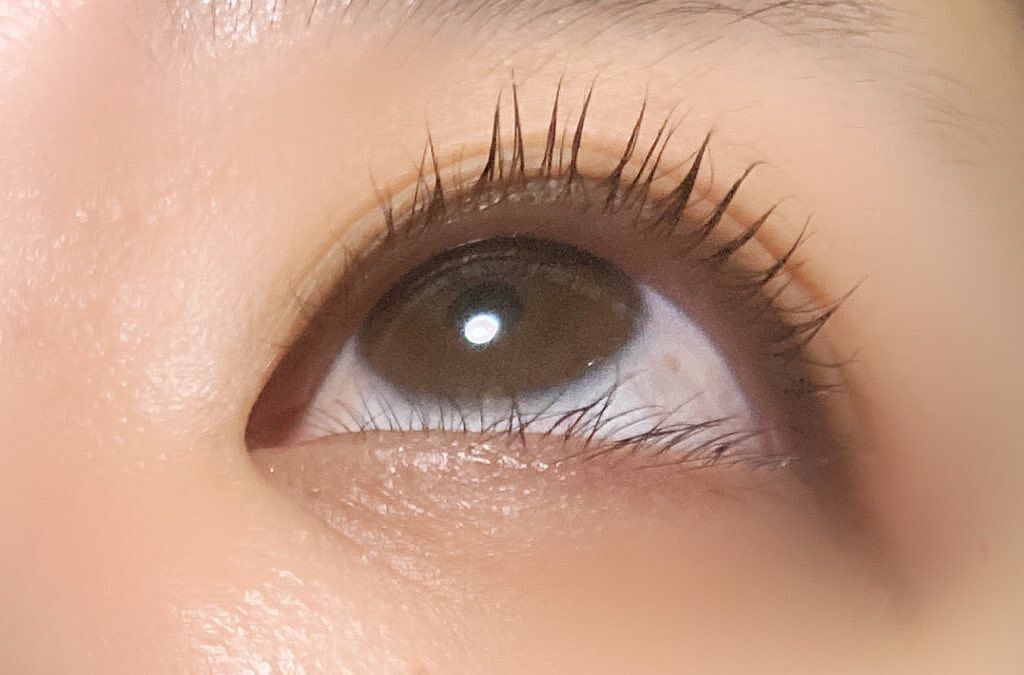 ラッシュジェリードロップ EX/MAJOLICA MAJORCA/まつげ美容液を使ったクチコミ(3枚目)