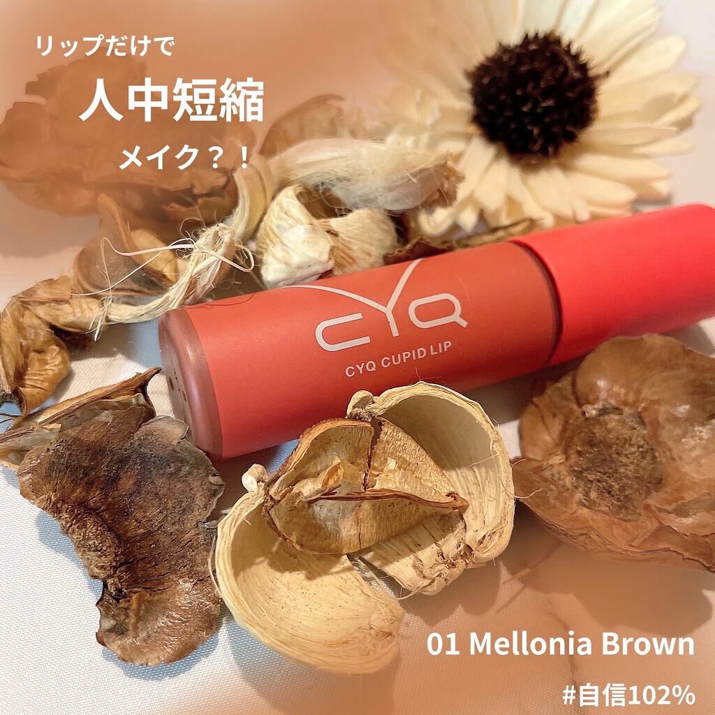 ãã¥ãŒããããªãã/CYQ/å£çŽ
ã䜿ã£ãã¯ãã³ãïŒ1æç®ïŒ