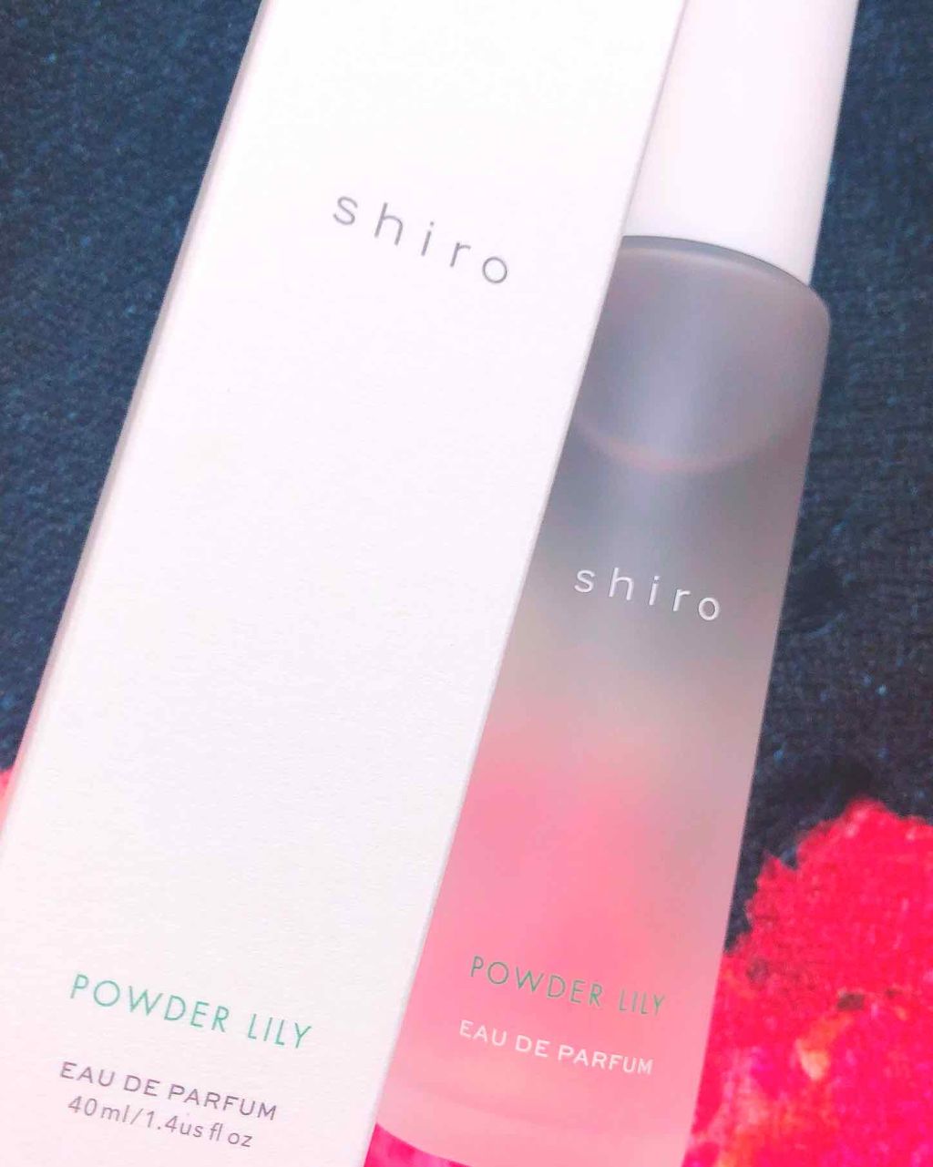 SHIRO パウダーリリーオードパルファンのクチコミ「shiroファンの方！
または気になってる方へ！

#shiro ファンの方は予約されてたり
.....」（1枚目）