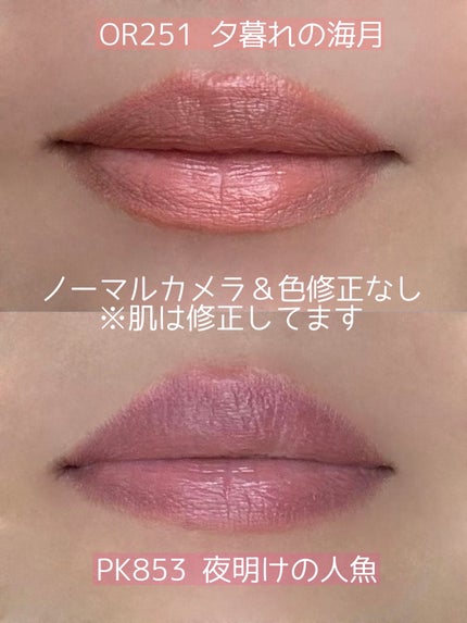 ネンマクフェイク ルージュ/Visée/口紅を使ったクチコミ(5枚目)