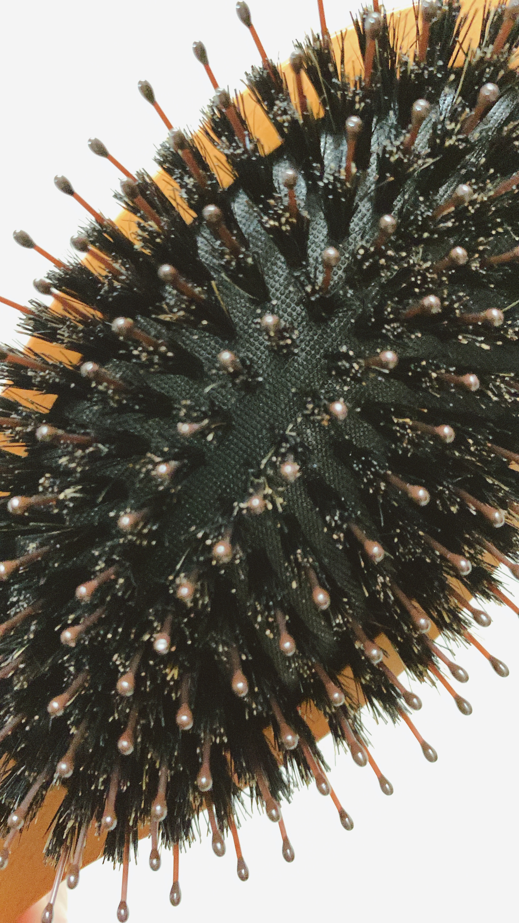 つやつや天然毛のミックスブラシ/マペペ/ヘアブラシを使ったクチコミ（3枚目）