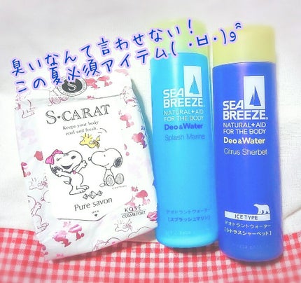 デオ&ウォーター I アイスタイプ (シトラスシャーベット)/シーブリーズ/デオドラント・制汗剤を使ったクチコミ(1枚目)