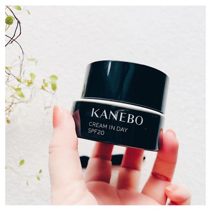 クリーム イン デイ/KANEBO/フェイスクリームを使ったクチコミ(2枚目)