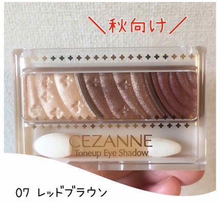 トーンアップアイシャドウ/CEZANNE/アイシャドウパレットを使ったクチコミ(1枚目)