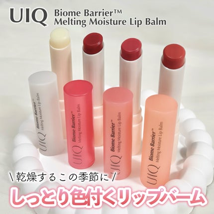 バイオームバリアメルティングモイスチャーリップバーム/UIQ/リップバームを使ったクチコミ(1枚目)