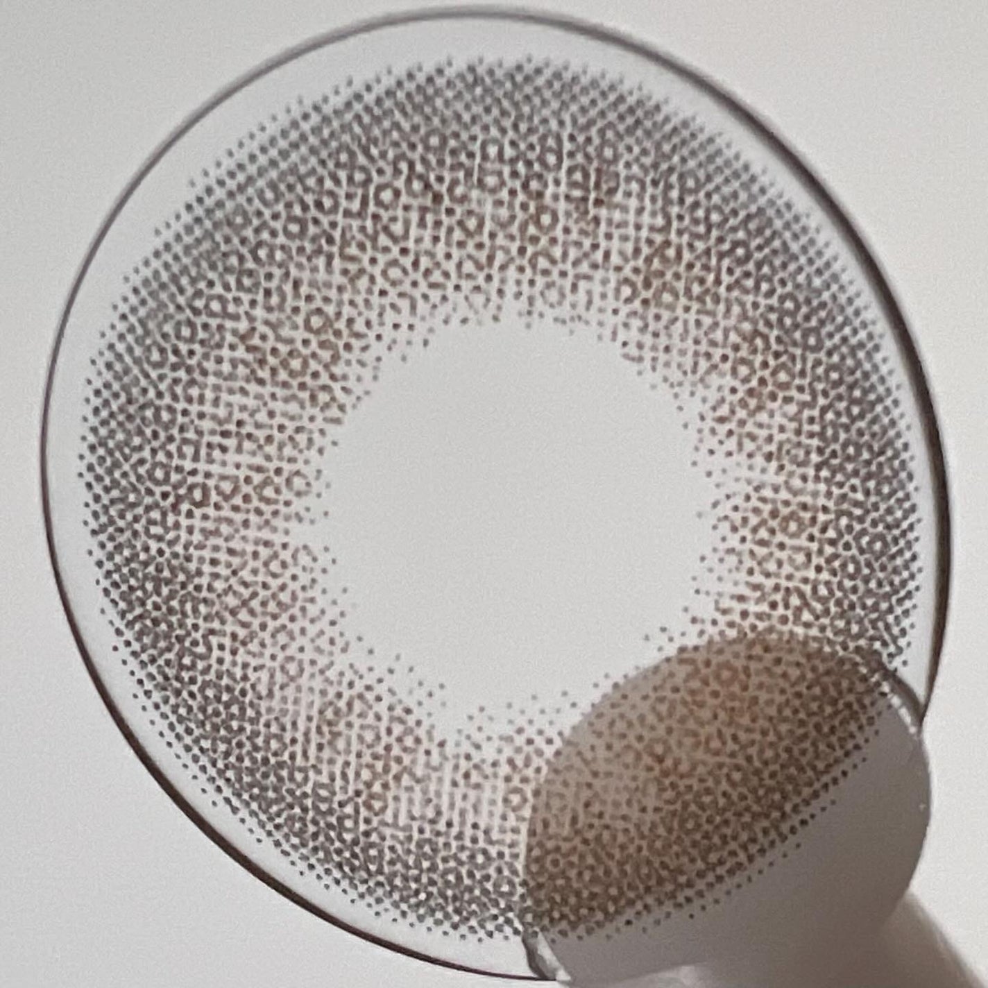 Angelcolor Bambi Series Vintage 1day/AngelColor/ワンデー(1DAY)カラコンを使ったクチコミ(9枚目)