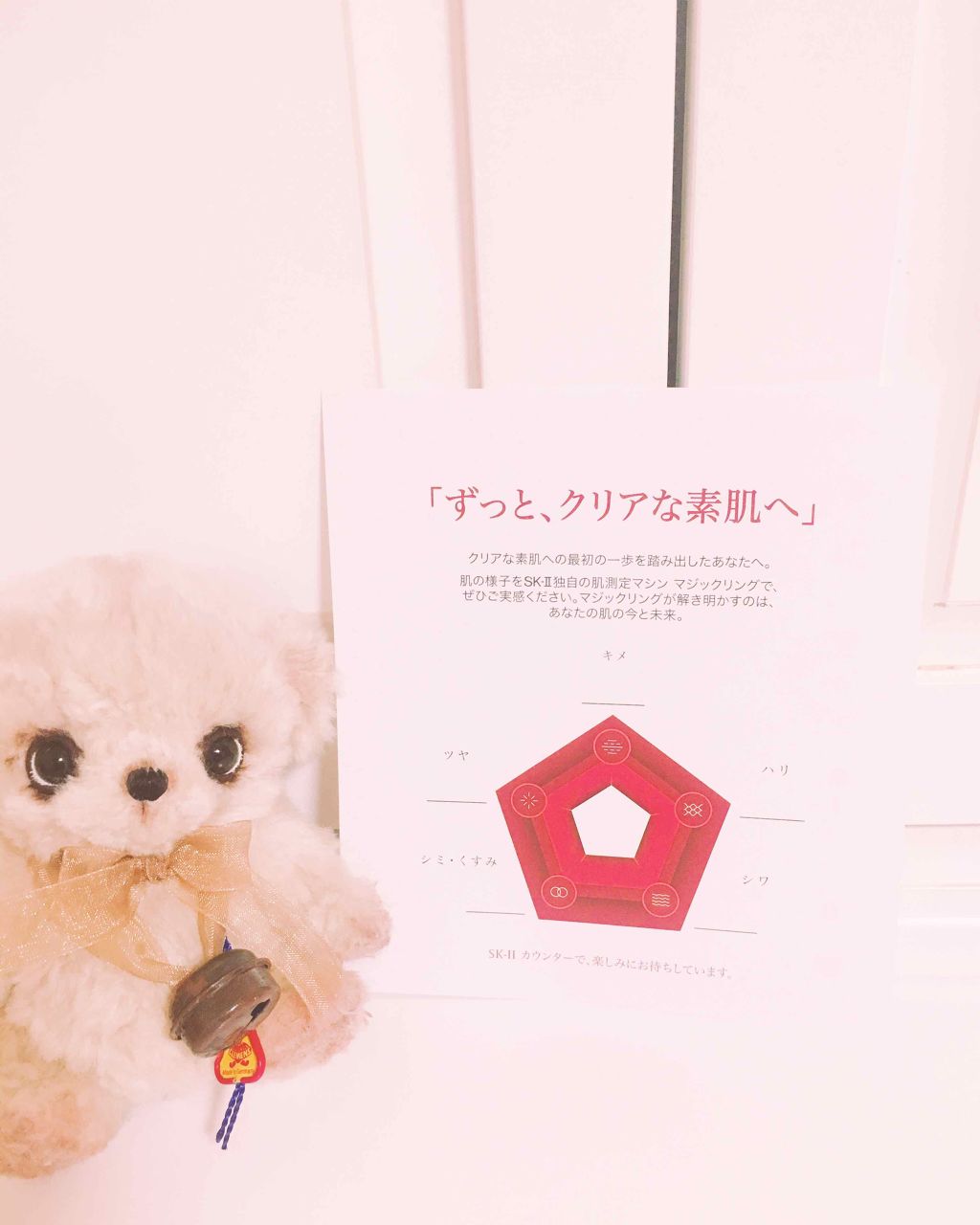 フェイシャル トリートメント クレンザー/SK-II/洗顔フォームを使ったクチコミ(3枚目)