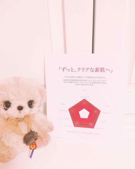 フルライン トライアル キット/SK-II/トライアルキットを使ったクチコミ(3枚目)