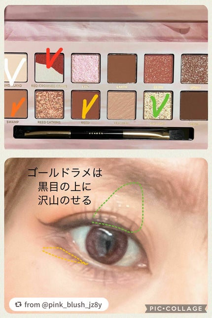 エクスプローラ12色 動物アイシャドウパレット/PERFECT DIARY/アイシャドウパレットを使ったクチコミ(5枚目)