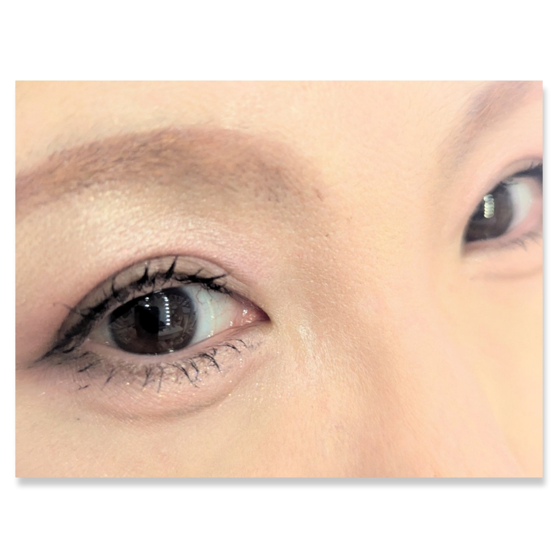 ソフトブラーリングアイパレット/wakemake/アイシャドウパレットを使ったクチコミ（2枚目）