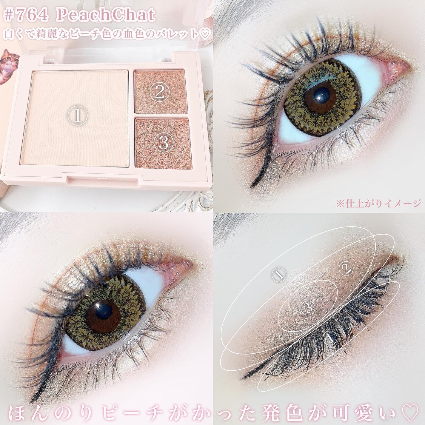 (ルシャブートコレクション)チーク&アイ マルチユーズ パレット/Dinto/パウダーチークを使ったクチコミ(4枚目)