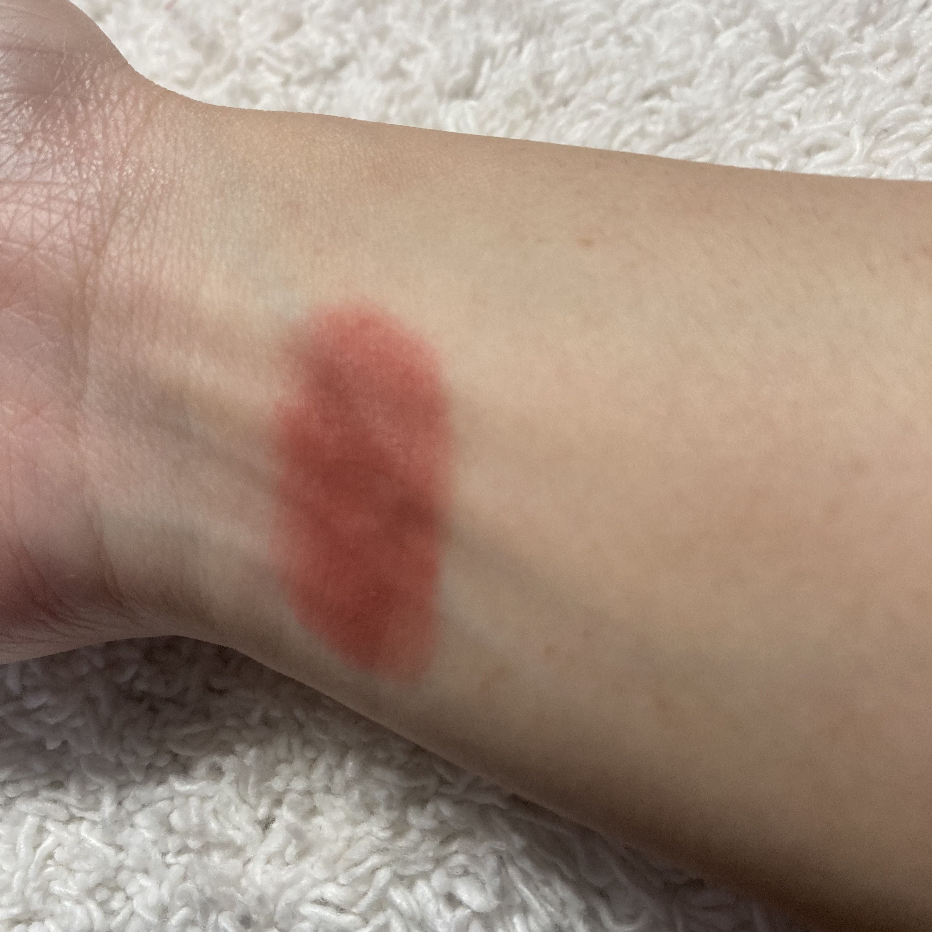 ラストパウダーリップスティック2/BBIA/口紅を使ったクチコミ（3枚目）