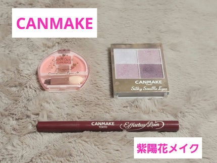 エフォートレスライナー/キャンメイク/リキッドアイライナーを使ったクチコミ(1枚目)